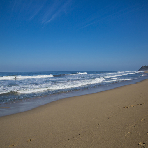 Playas seguras en San Francisco Nayarit